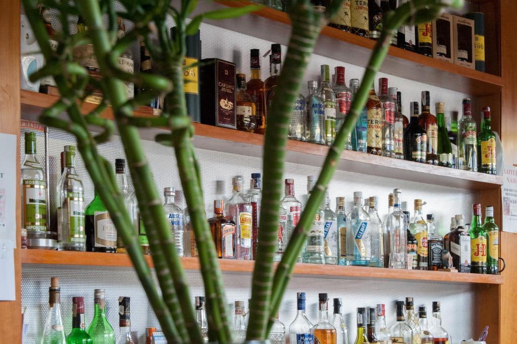 Hostal Montserrat Tona Стая снимка